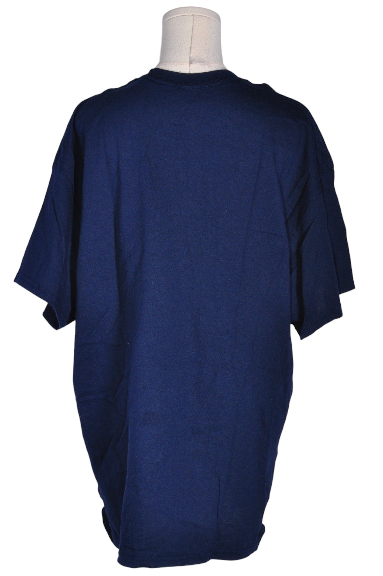 Stylish GILDAN Regular Fit Blue Women's T-Shirt - Size L