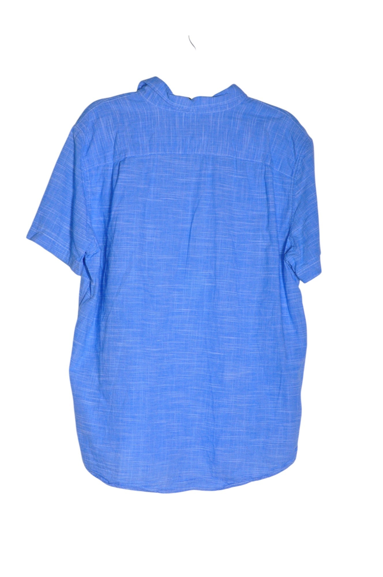 Stylish AMERICAN EAGLE Women's Regular Fit Blue Button - Down Tops in Size L